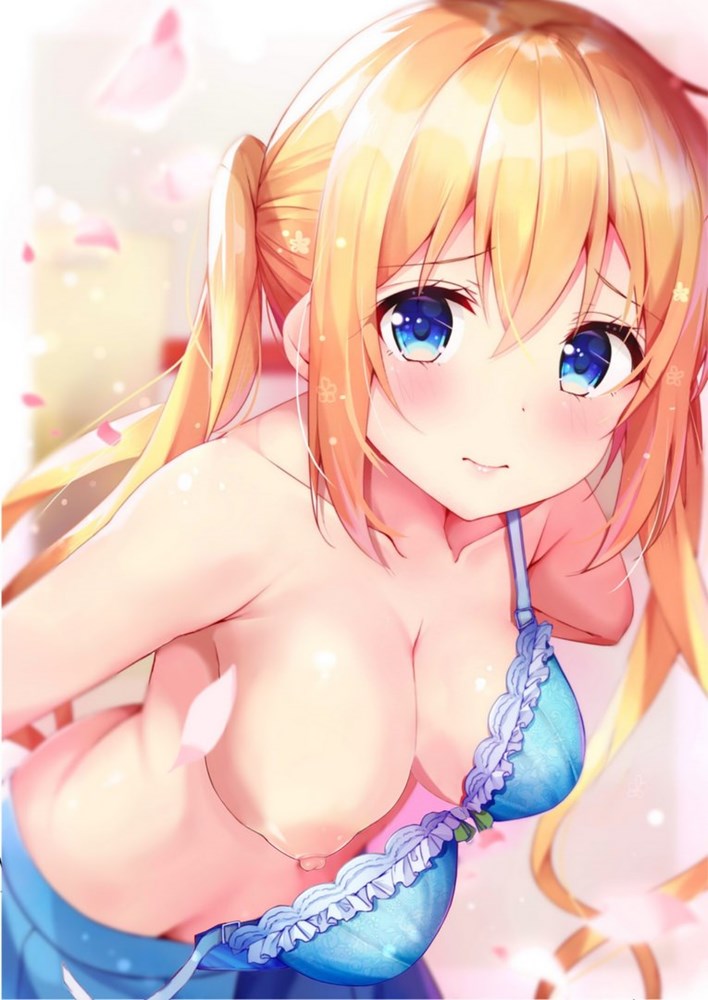 【二次】目を奪われる乳首・乳輪・乳頭画像【エロ】　その２１